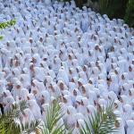 Kegiatan - Apel pagi setiap sabtu